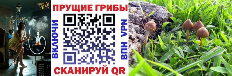 Галлюциногенные грибы мицелий  Купить  Надым 