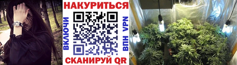 Марихуана OG Kush  Купить где  Надым 